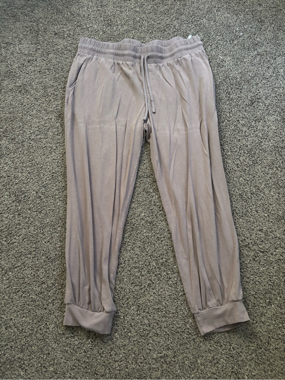 AnyBody Women's Drawstring Joggers - Light Taupe